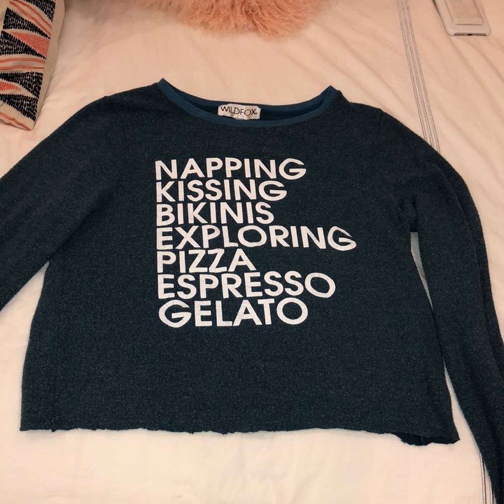 Cropped wildfox sweatshirt